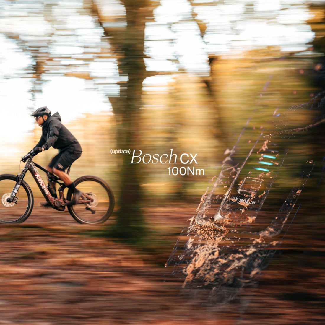 Actualización Motor Bosch para (new) Quercus